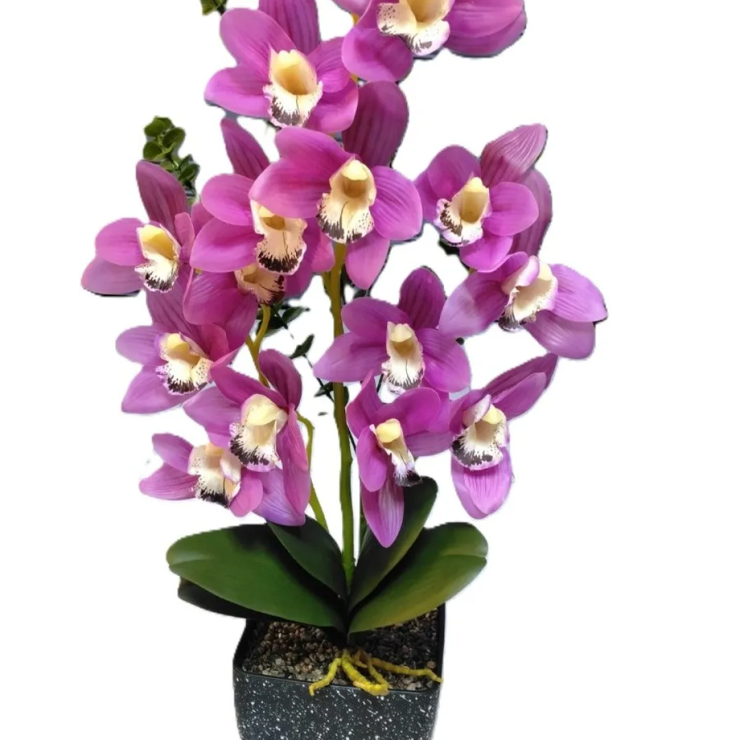 orquideas boca de tigre