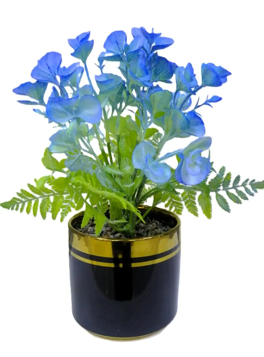 follaje de orquidea silvestre