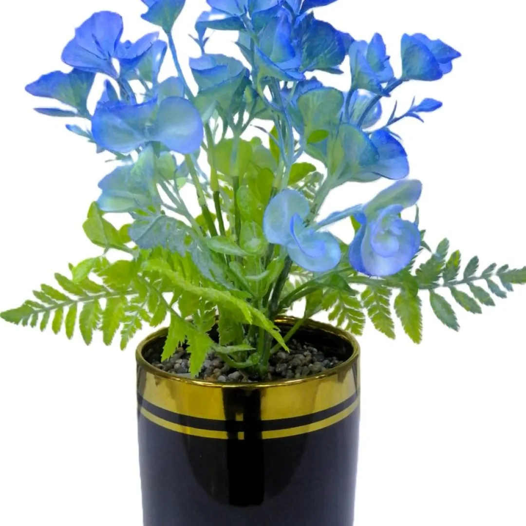 follaje de orquidea silvestre