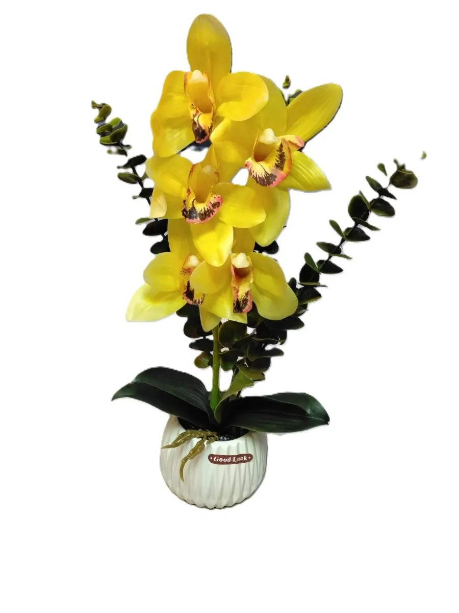orquideas boca de tigre