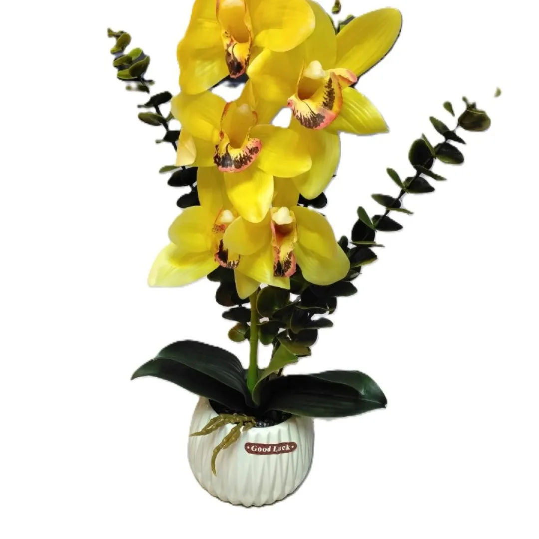 orquideas boca de tigre
