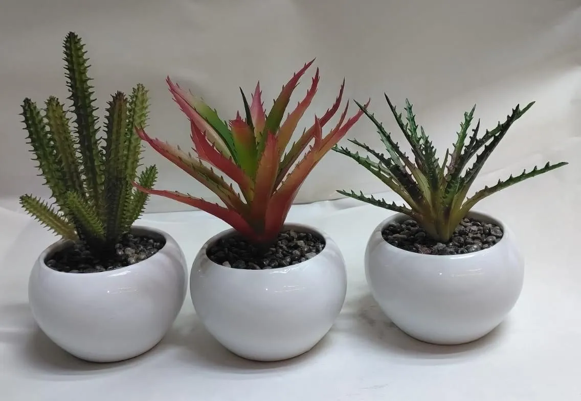 SUCULENTAS  DIFERENTES MODELOS MIDE APROX 18CM