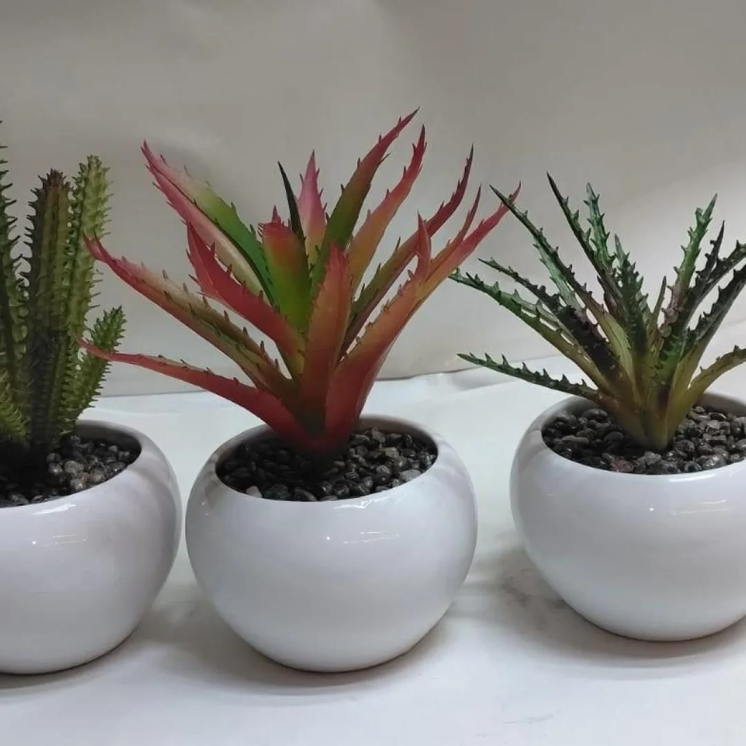 SUCULENTAS  DIFERENTES MODELOS MIDE APROX 18CM