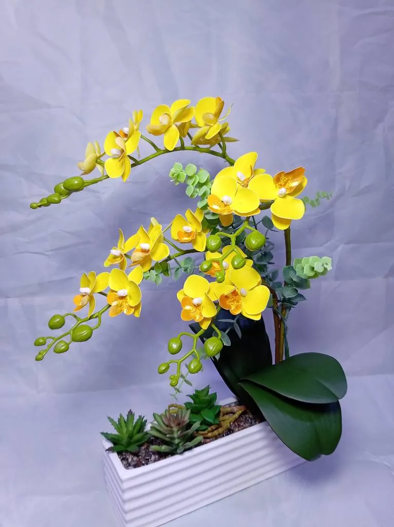 Orquídeas en jardineras