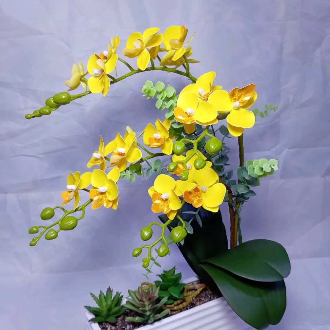 Orquídeas en jardineras