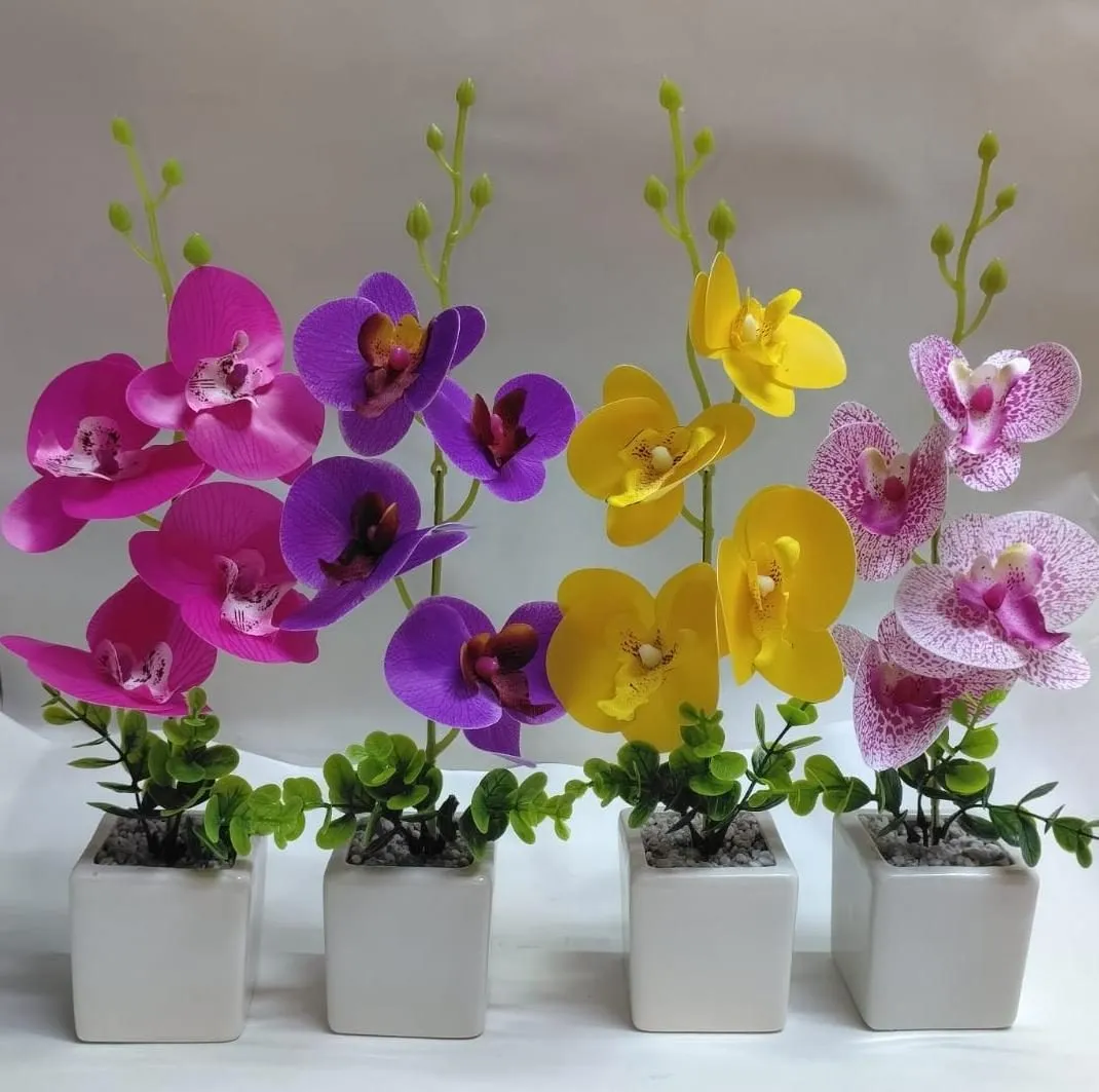 ORQUIDEA DE SILICONAS