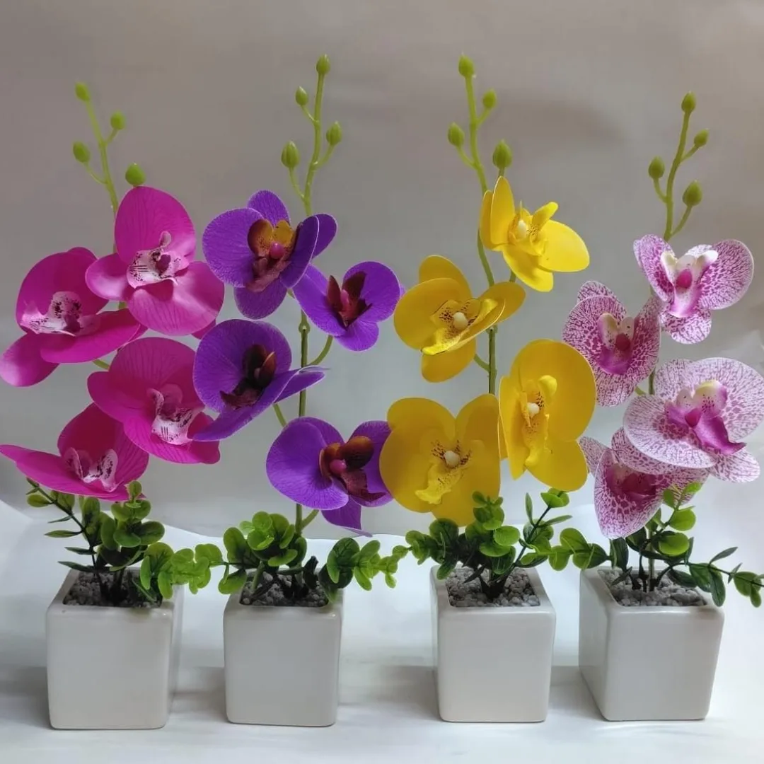 ORQUIDEA DE SILICONAS