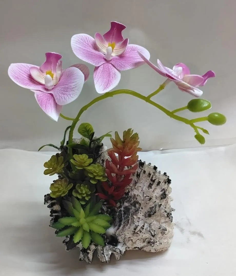 CARACOL CON ORQUIDEAS Y SUCULENTAS