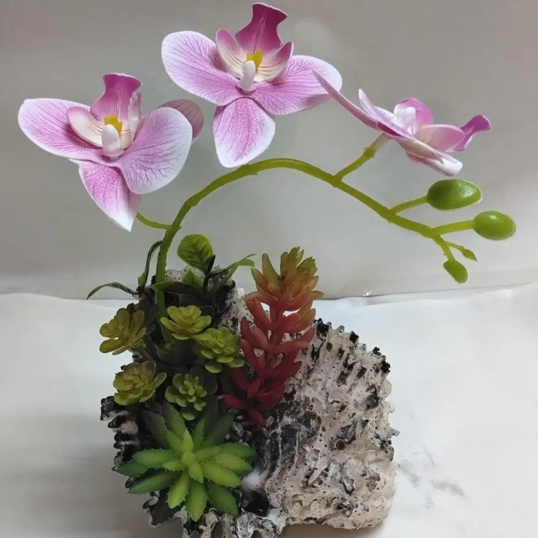 CARACOL CON ORQUIDEAS Y SUCULENTAS