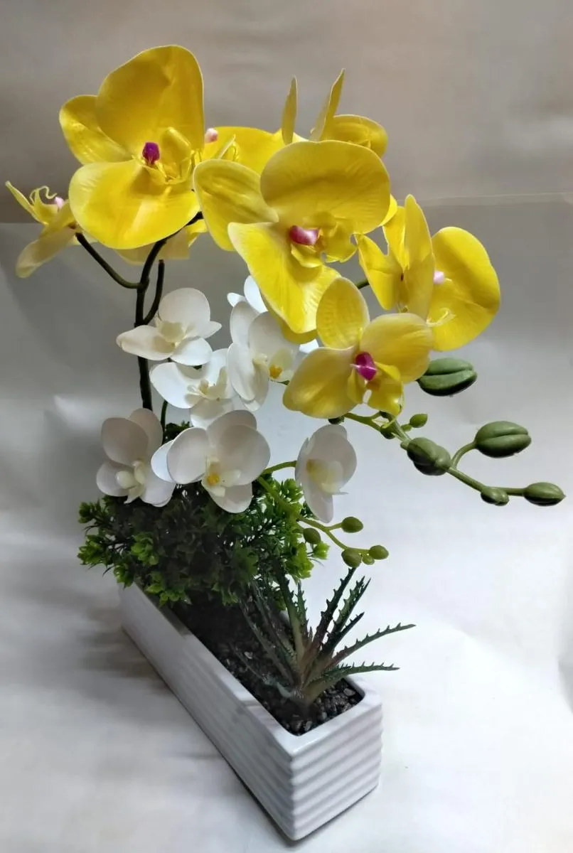 ARREGLO DE ORQUIDEA EN UNA JARDINERA