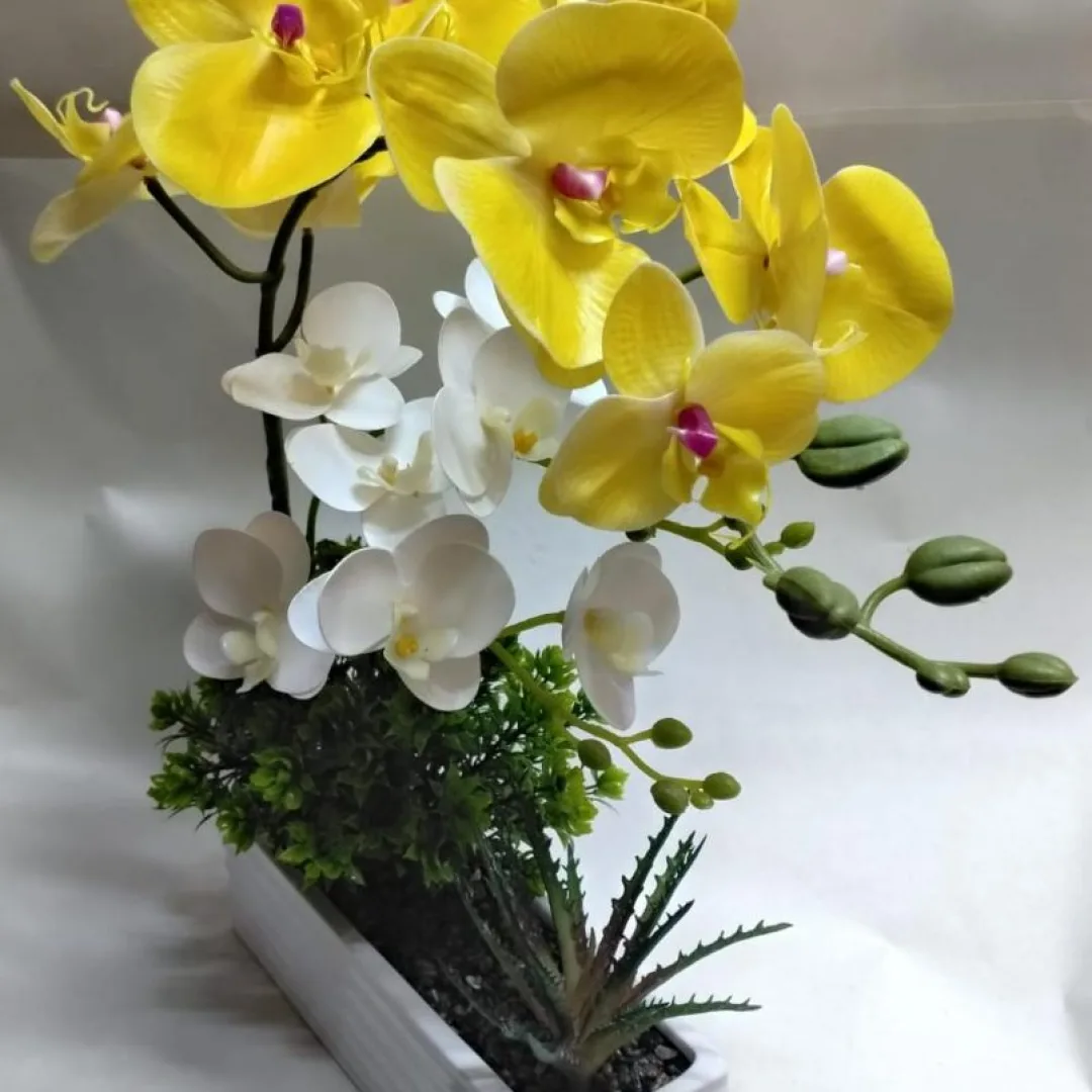 ARREGLO DE ORQUIDEA EN UNA JARDINERA